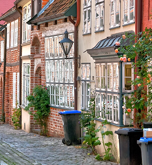 Schimmelbefall leider auch in Lüneburg